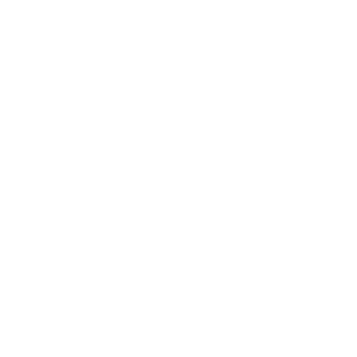Analyze icon