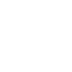 Develop icon